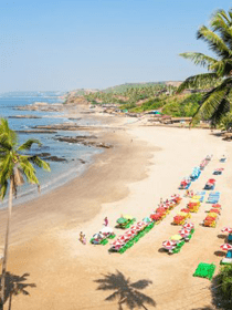 Goa