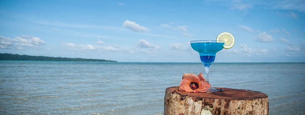 4N Andaman Package