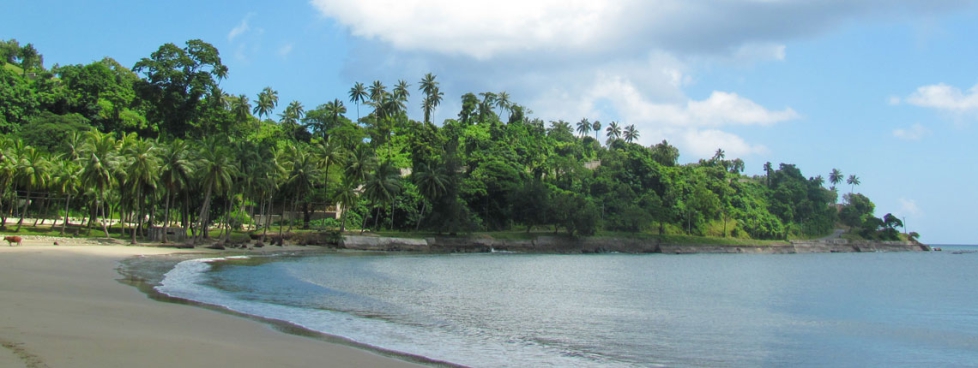 4N Andaman Honeymoon Package