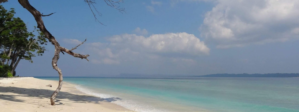 4N Andaman Leisure Package