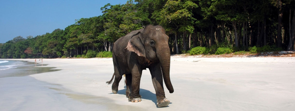 5N Andaman Leisure Package