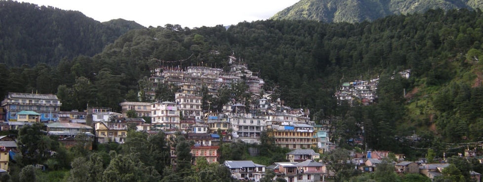 Manali Luxury Honeymoon Tour Package