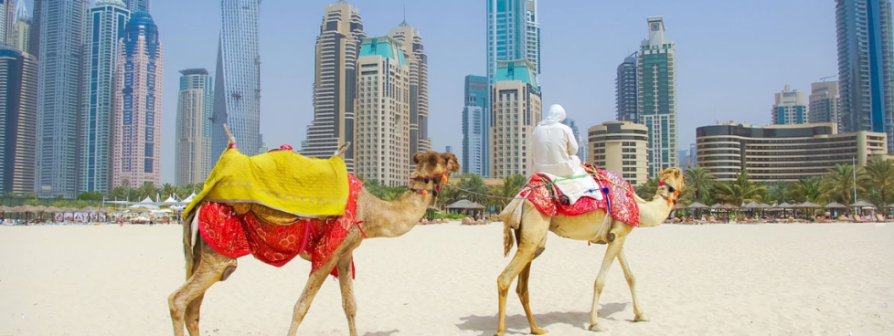 Dubai Summer Special