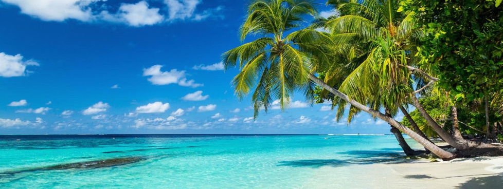 Maldives Honeymoon Package 3N