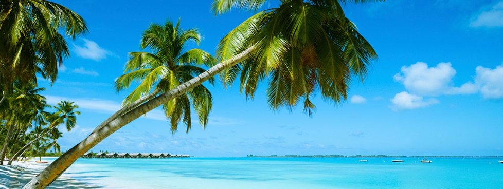 Mauritius Honeymoon Package 3*