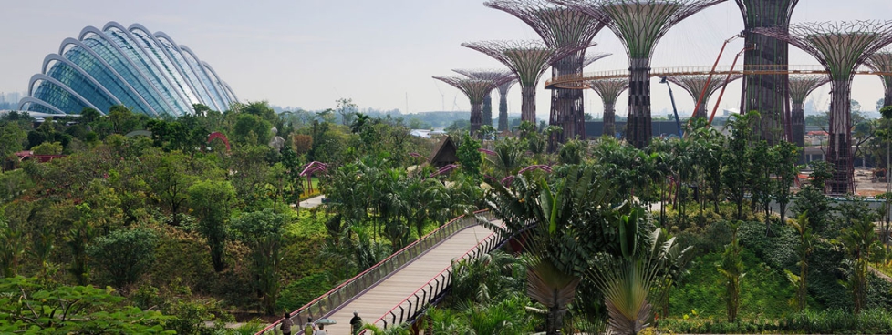 Singapore Honeymoon Package