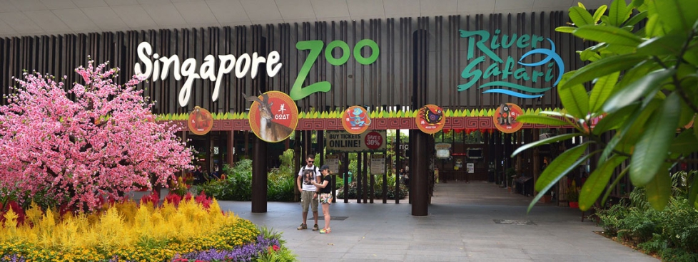 Singapore With Bintaan Island Package