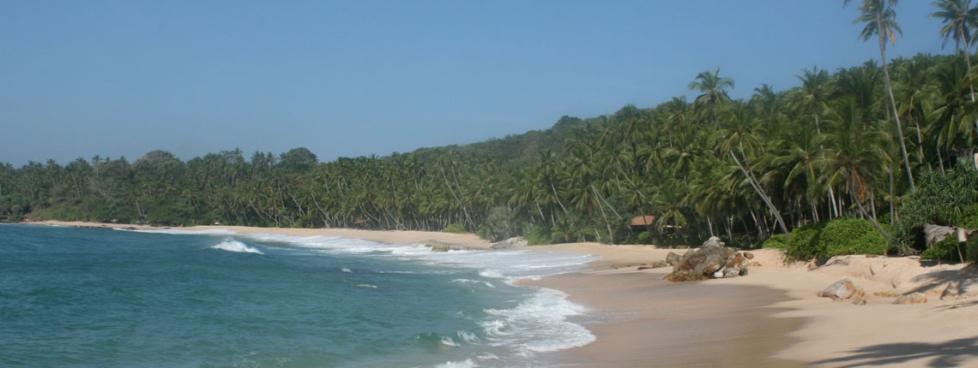 Short Trip To Colombo Super Deluxe Package