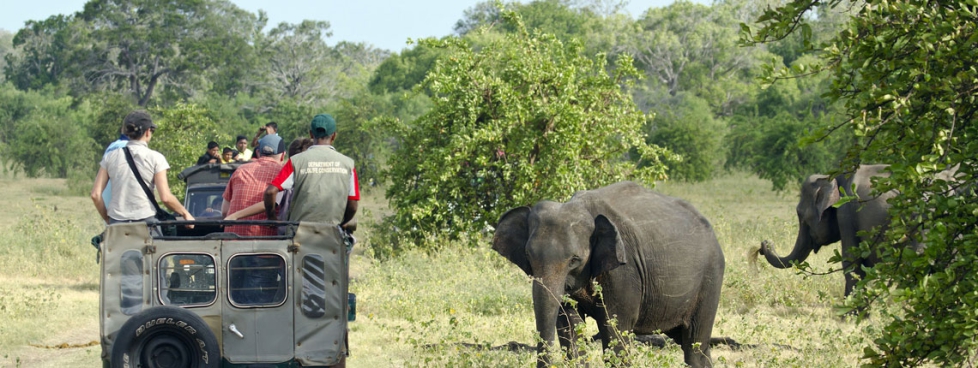 Weekend Trip To Sri Lanka Deluxe Package
