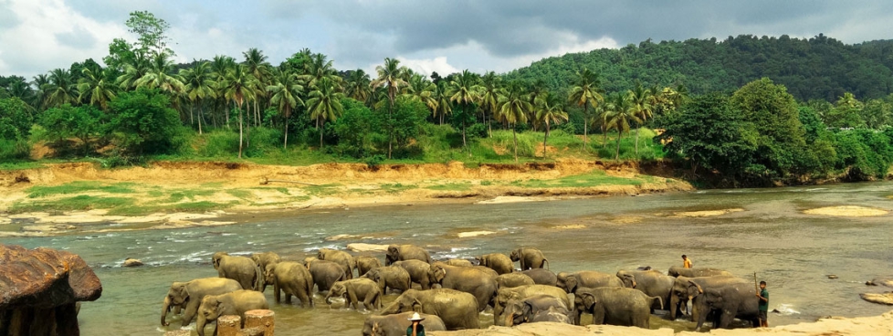 Experience Sri Lanka Deluxe Package