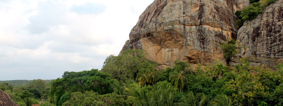 Glimpse Of Sri Lanka Deluxe Package