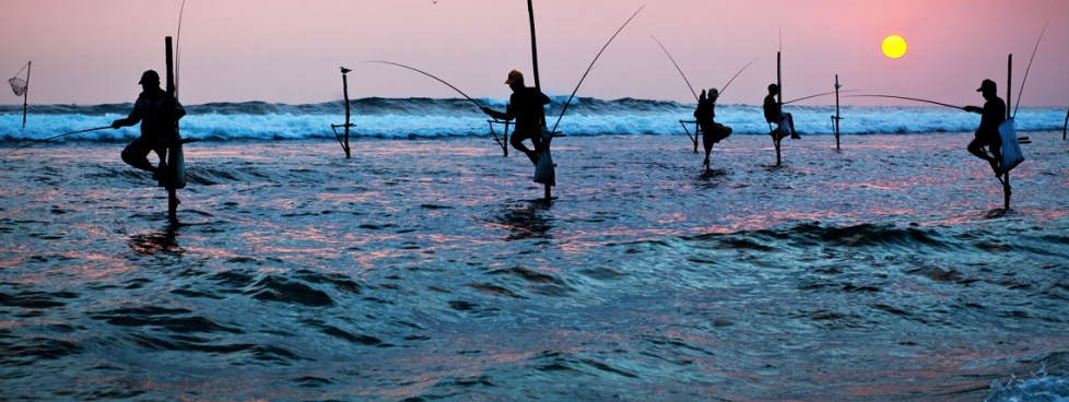 Glimpse Of Sri Lanka Deluxe Package