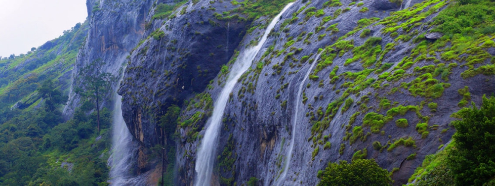 Amazing Cochin-Munnar-Thekkady-Alleppey Tour